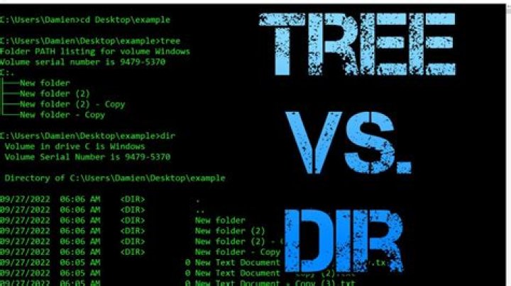dir C: vs dir C:\