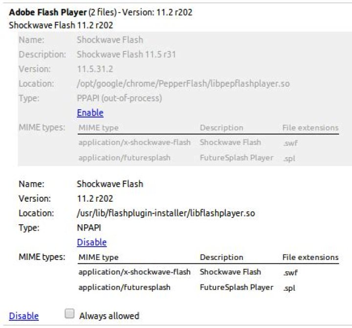 Disable PepperFlash
