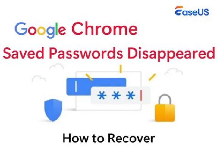 Disabling Access to Google Chrome Saved Passwords in a Secure Way