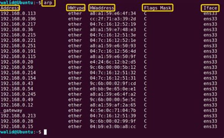 disabling the ARP protocol in linux box