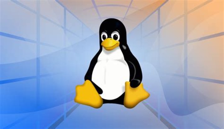 Do I need to use both chown nobody:users and chmod 755