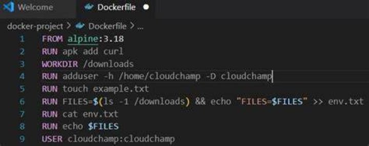 Dockerfile: Output of RUN instruction into a Variable