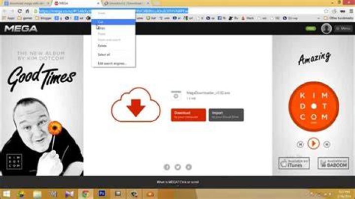 Download files like mega.co.nz
