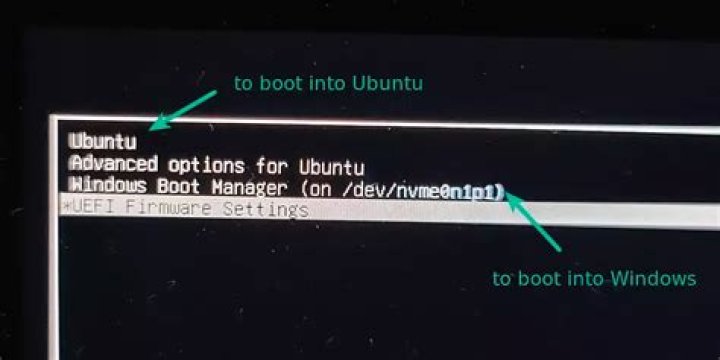Dual boot menu with Ubuntu and Windows 8 not showing up
