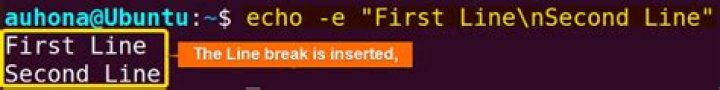 echo command breaks lines, being used in loops [duplicate]