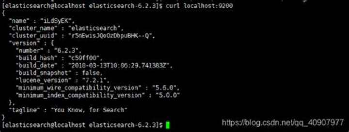 Elastic search curl -X GET 