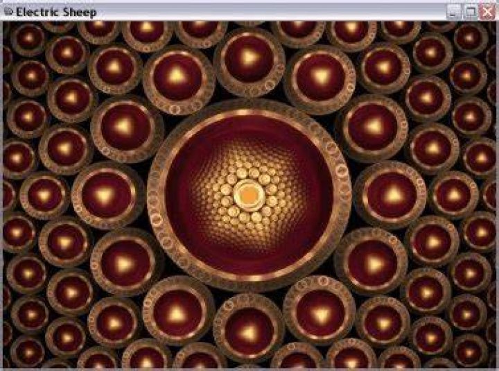 electricsheep screensaver won't start