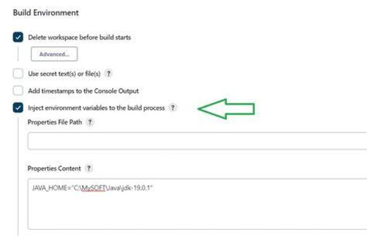 Environment Injector Plugin