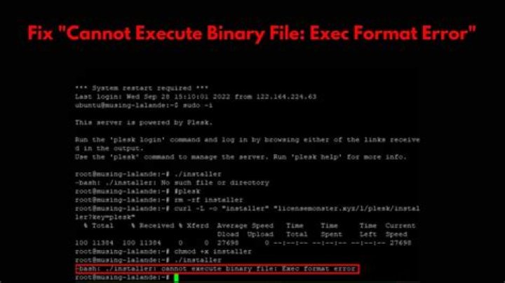 Error during the installation of Java: cannot execute binary file: Exec format error