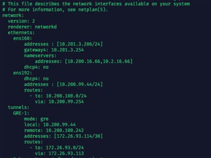 Error in network definition at netcfg.yaml file: unknown key tunnels