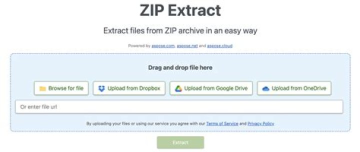 Extract only text files from a zip file