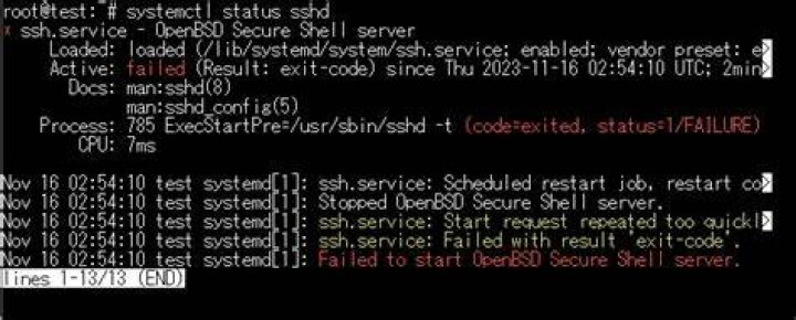 Failed to start OpenBSD Secure Shell server error when I try to run apt-get or to install Ubuntu upgrades