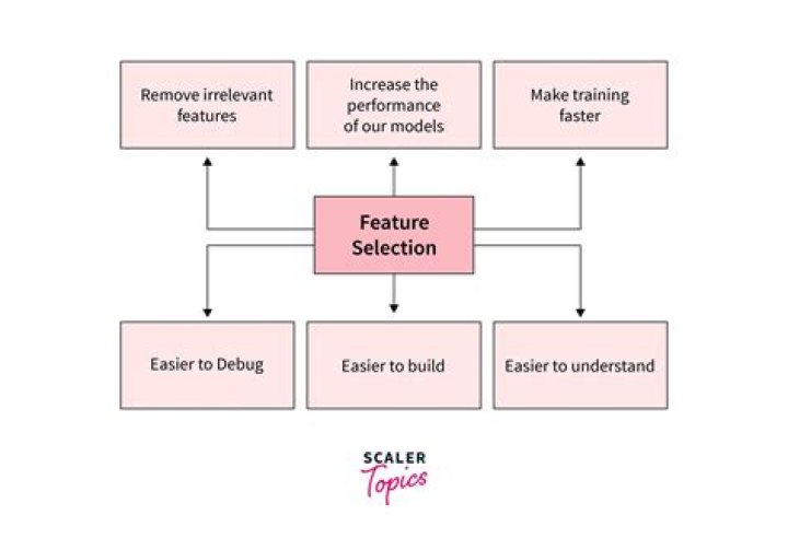 Feature Selection Screenshot