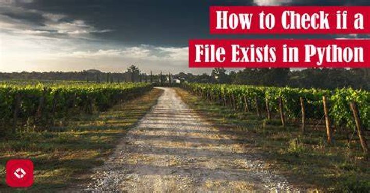 file exists image