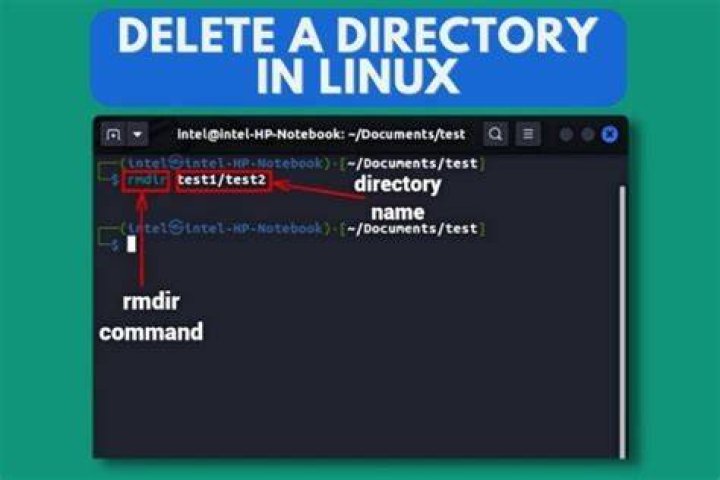 Find and delete all the directories named 