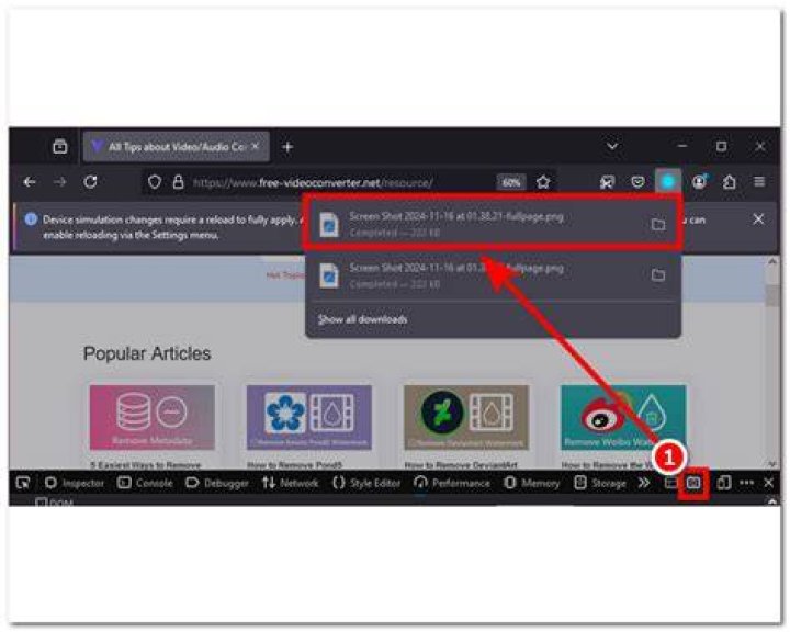Firefox about:support screenshot options
