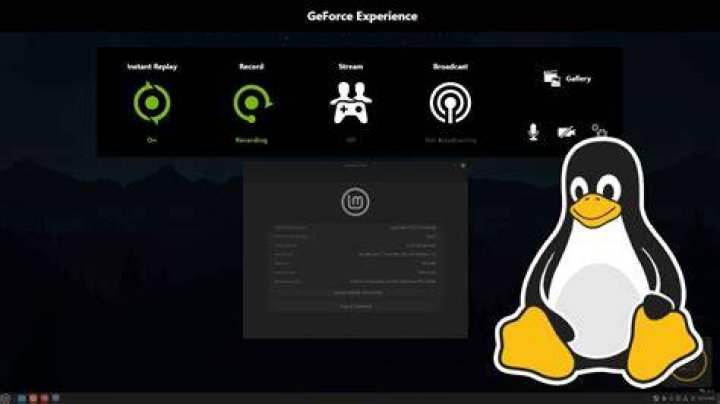Geforce experience on linux?