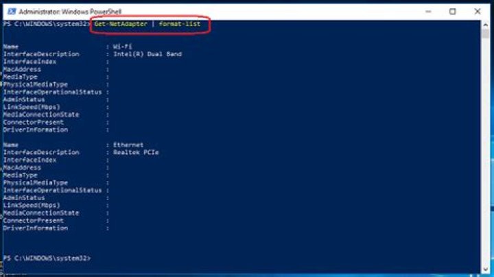Get active network adapter and set DNS via PowerShell