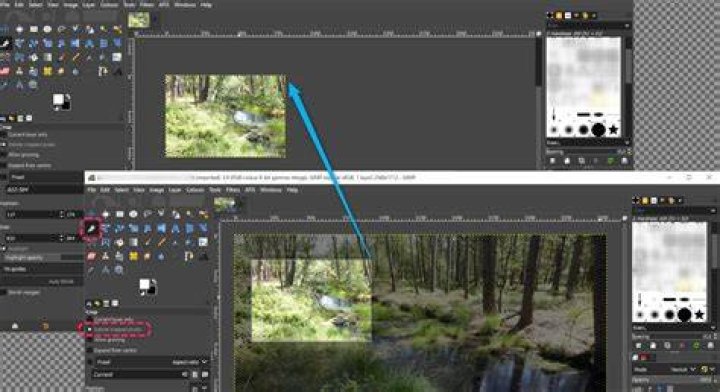 GIMP Selection Tool Select-To-Move 2.10