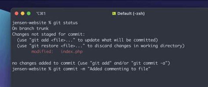 Git Error Message