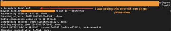 Git error on git pull (unable to update local ref)