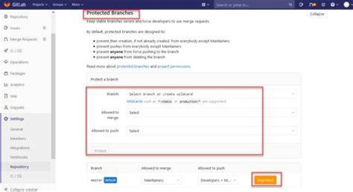 Gitlab: Can't push to master only