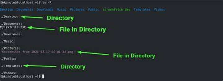 Go find files in directory recursively