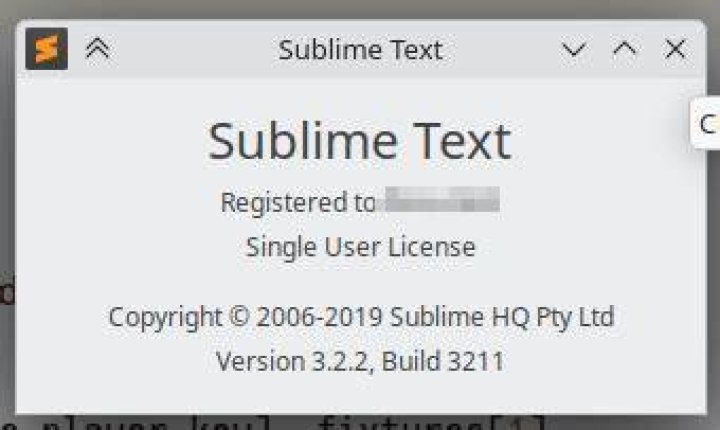 Go with Sublime 3 returns 