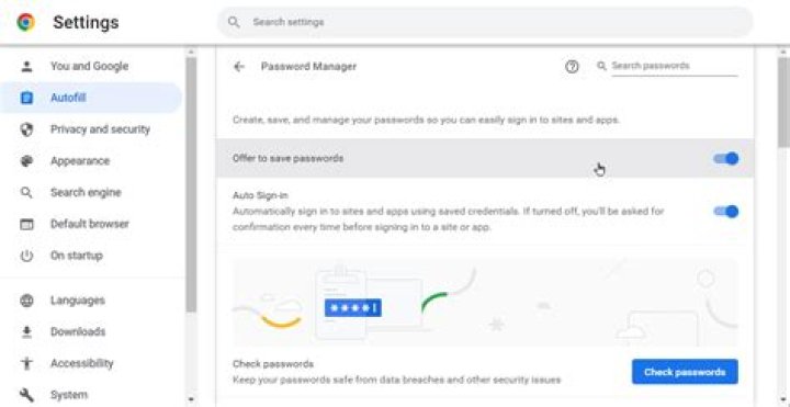 Google Chrome does not sync passwords