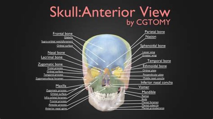 green skull location