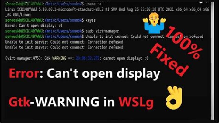 Gtk-WARNING **: 22:21:47.873: cannot open display:1 / xhost : unable to open display:1