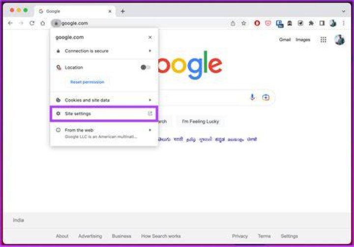 Hangs waiting for URL / cache in Chrome
