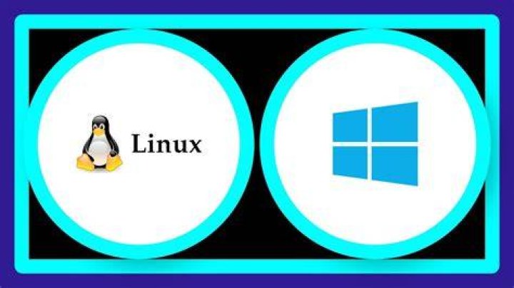 How are \n and \r handled differently on Linux and Windows?