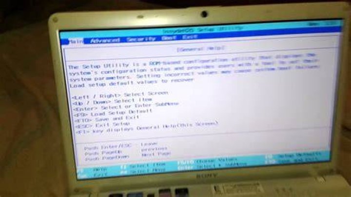How can i access BIOS in sony vaio?