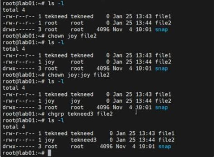 How can I change the file ownership to root on ubuntu 14.04 [duplicate]
