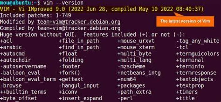 how can I check which version of vim I have installed?