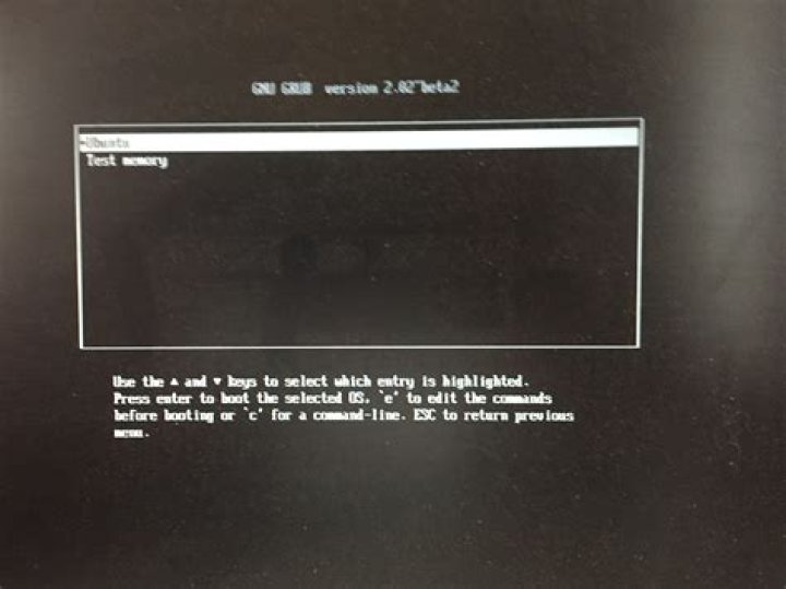 How can I get a 2006 MacBook Pro (2,2) to boot the LIve CD/USB?