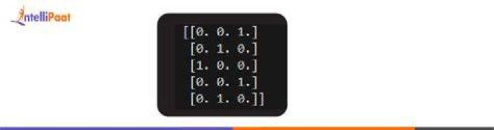 How can I one hot encode in Python?