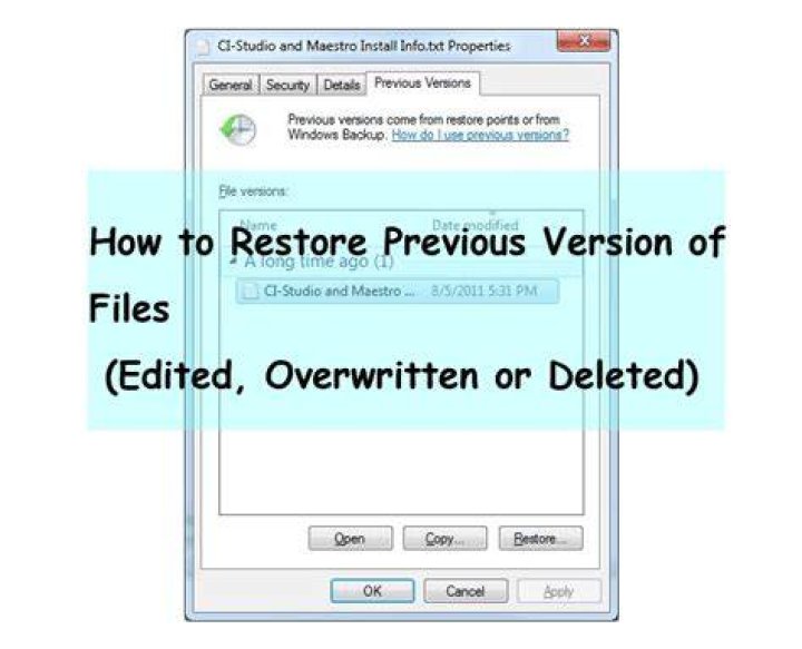 How can I revert a single file to a previous version? [duplicate]