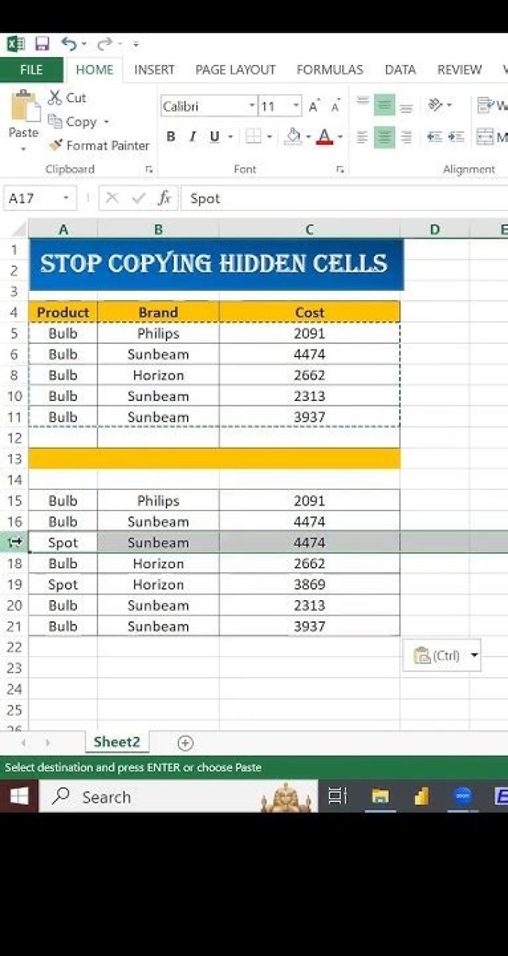 How can I stop Excel (2007) from copying hidden cells?
