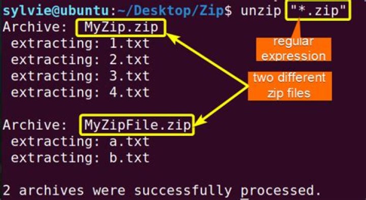 how can i unzip a zip file with creating a new folder on the given path in linux