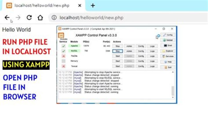 How can i watch the PHP preview on browser?