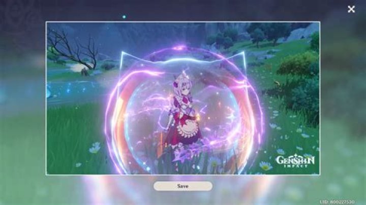 How do elemental shields work?