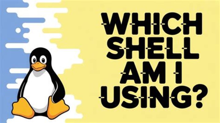 How do I check which shell I am using?