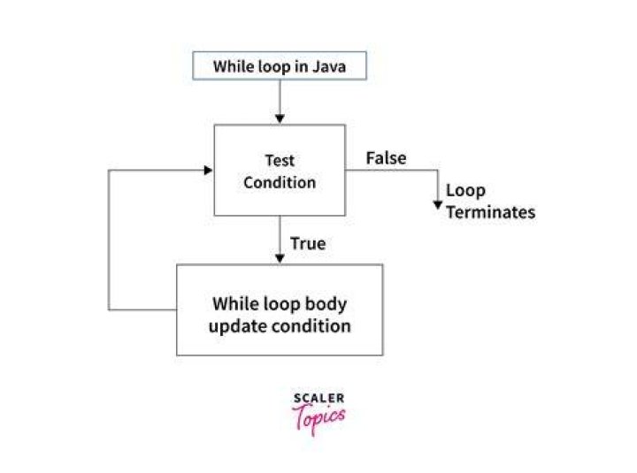 How do I exit a while loop in Java?