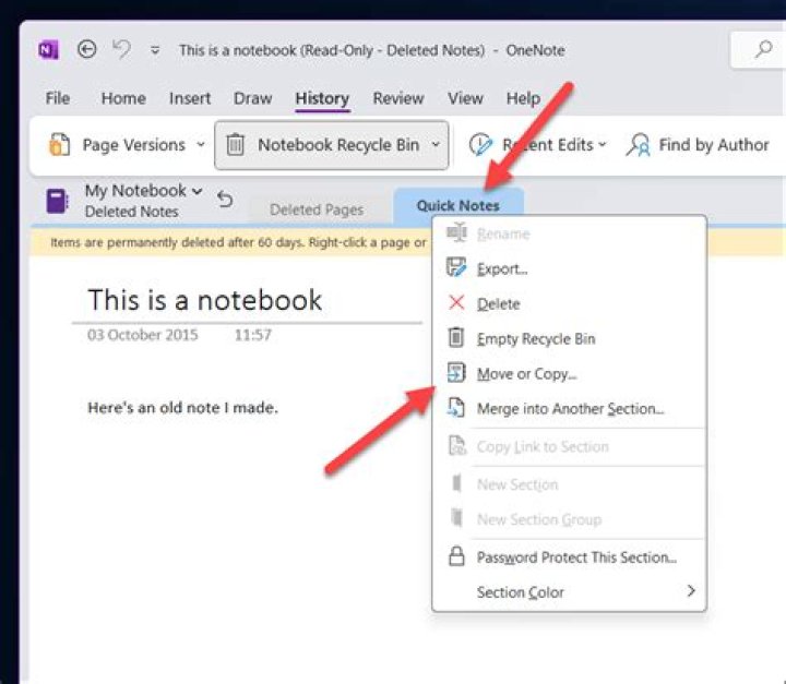 How do I find my OneNote notebooks so I can back them up before doing a complete system wipe?