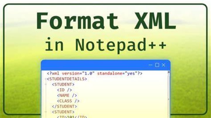 How do I format XML in Notepad++?