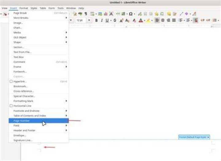 How do I get LibreOffice Writer to start page numbers at 1 and not 0?
