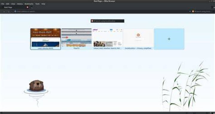 How do I install Otter browser on Ubuntu 18.04?