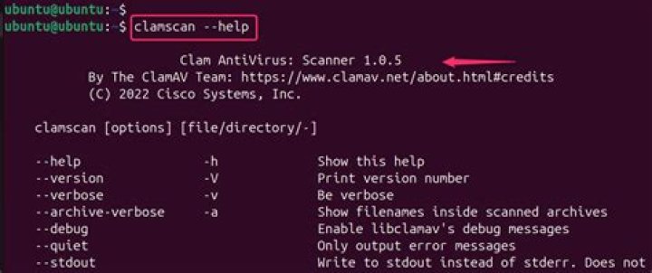 How do I manually import the clamav virus definition file?